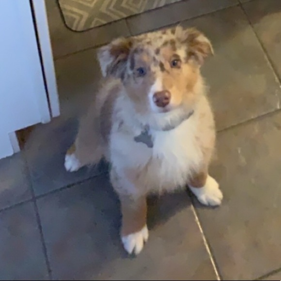 Meet your Posher, Kollene - Picture 2 of 3